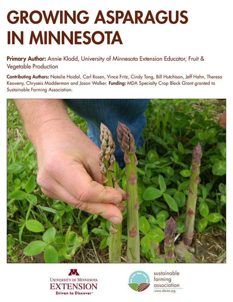 Growing Asparagus in Minnesota Sustainable Farming Association