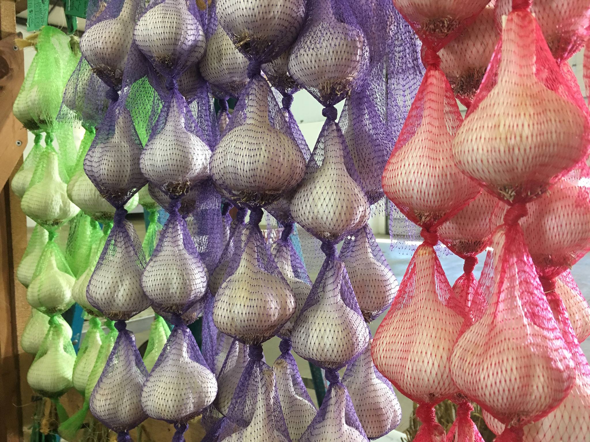 Garlic Ropes