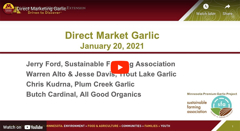 Direct market garlic
