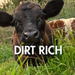 Dirt Rich