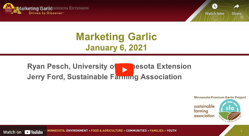 Marketing garlic