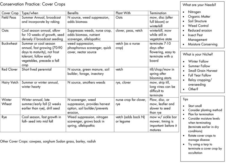 Quick Cover Crops Guide - Sustainable Farming Association