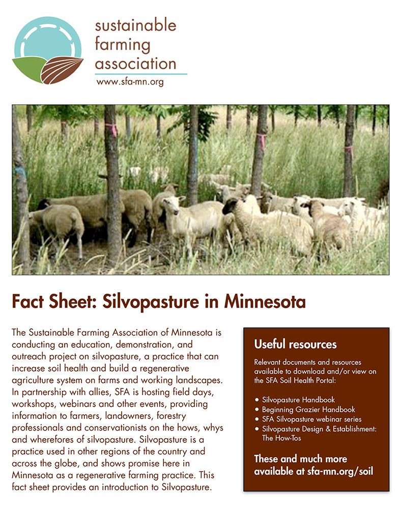 Silvopasture Fact Sheet