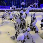 Snow Covered Prairies