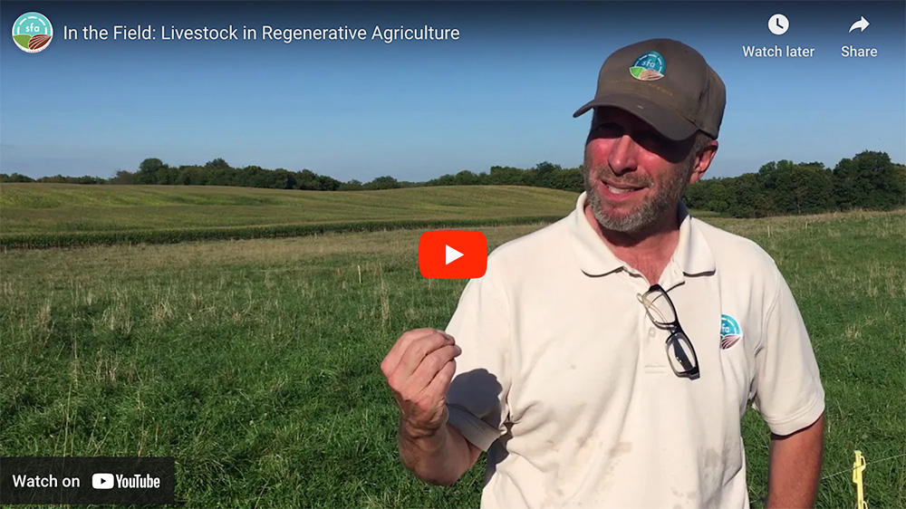 Livestock in Regenerative Agriculture