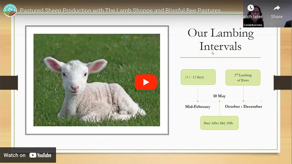 Pastured Sheep Production