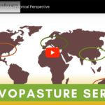 Silvopasture: A Global & Historical Perspective