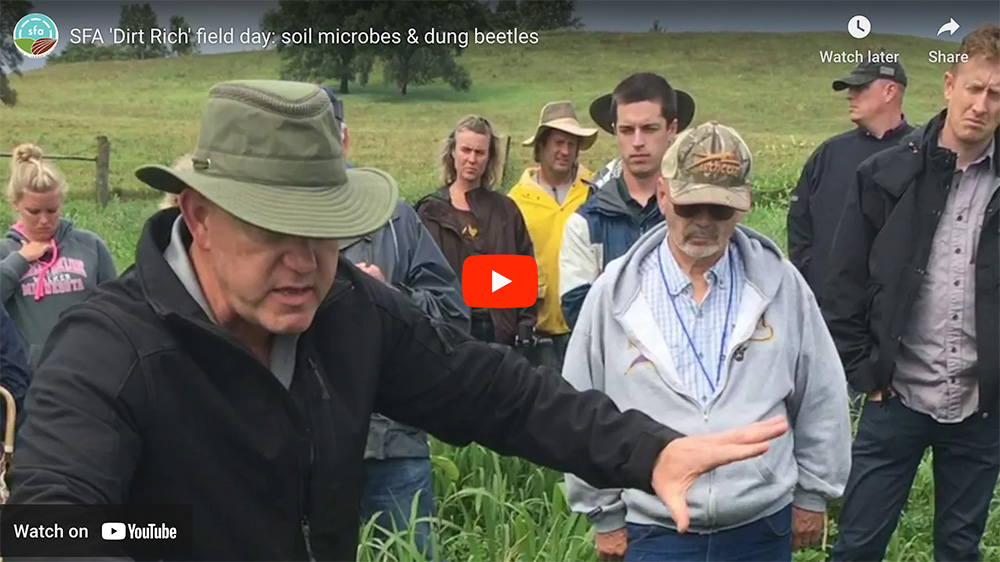 Soil Microbes & Dung Beetles