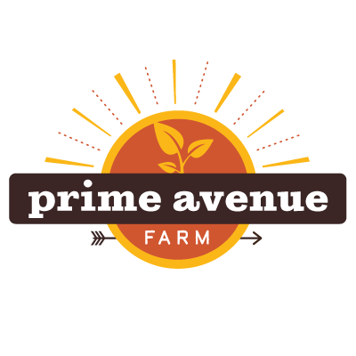 prime-avenue-400px-forSquare - Mark Anema