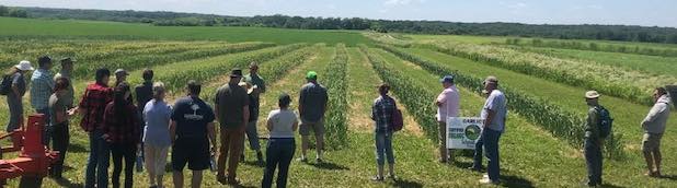 Schmidt Farm Garlic Field Day