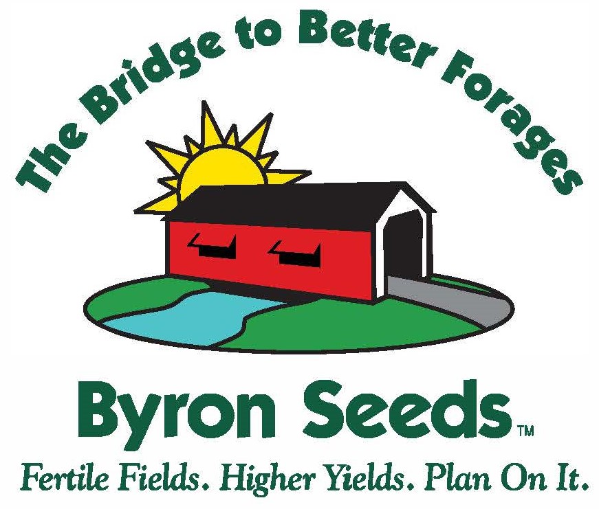 New Byron Seeds Bridges logo 1