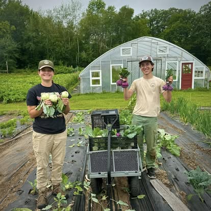 hVuHMEfHi7dumBMDpNwD