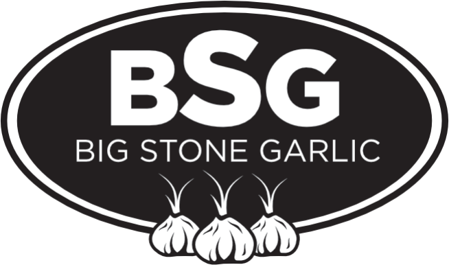 cropped-BSG-logo-737x737-2 - Rosa Olson