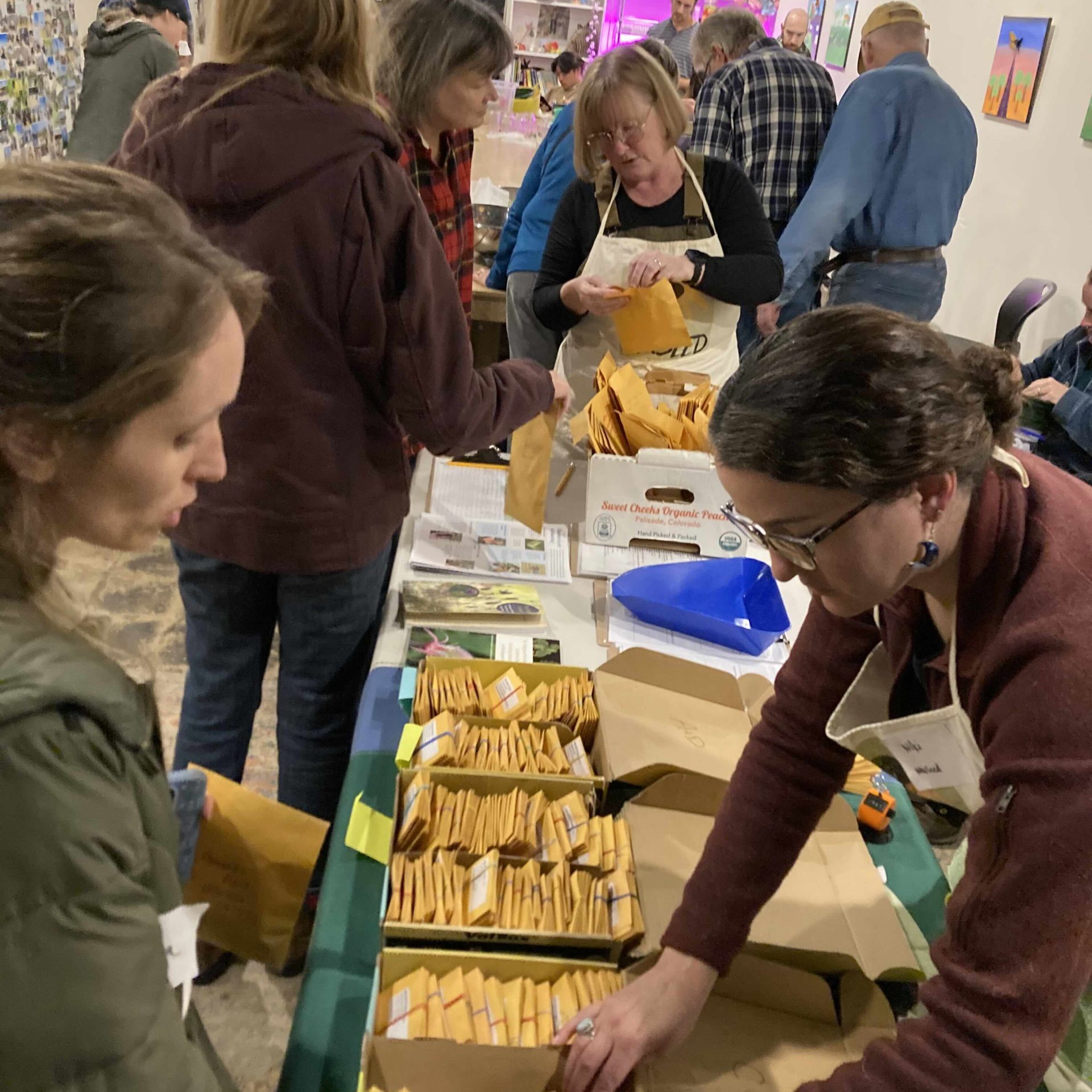 2024.November.12 Twin Cities Metro Growers Network & MN SEED Project 11 for email