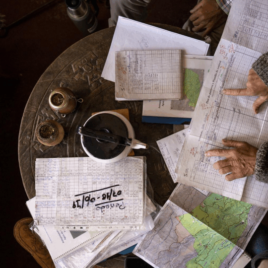 Holistic Planned Grazing_SavoryInstitute - Kyle Hildebrandt