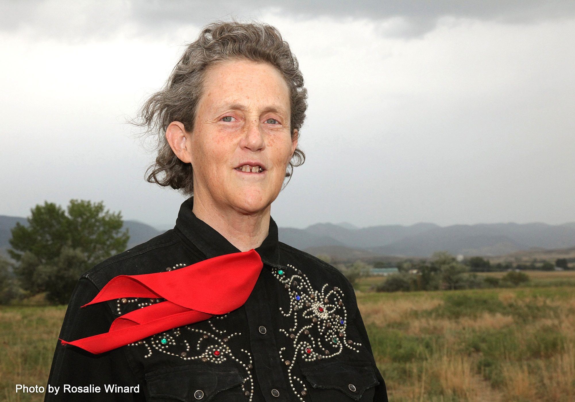 Temple Grandin horiz for Connect