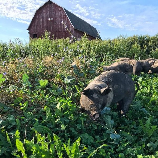 Cannon River - Sustainable Farming Association