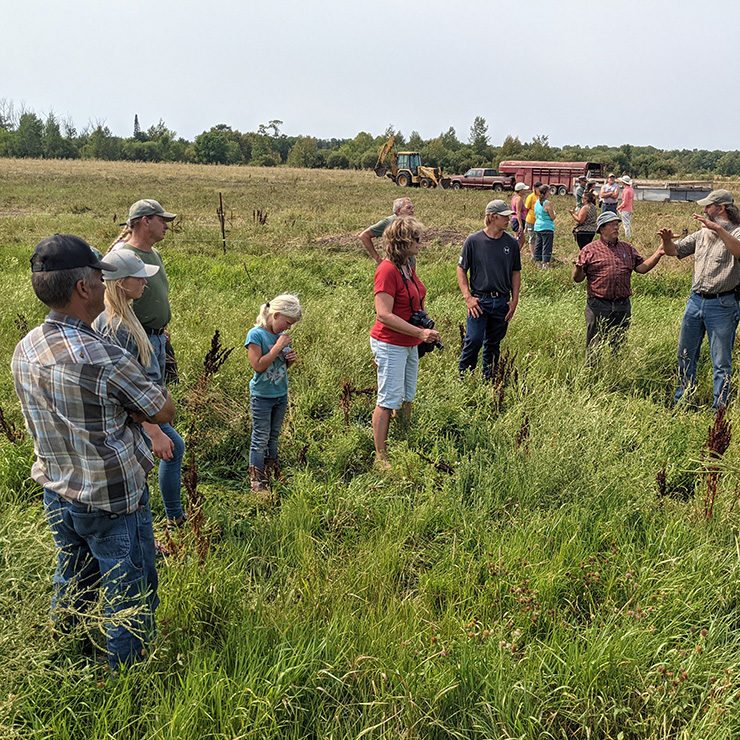 emerging-farmers