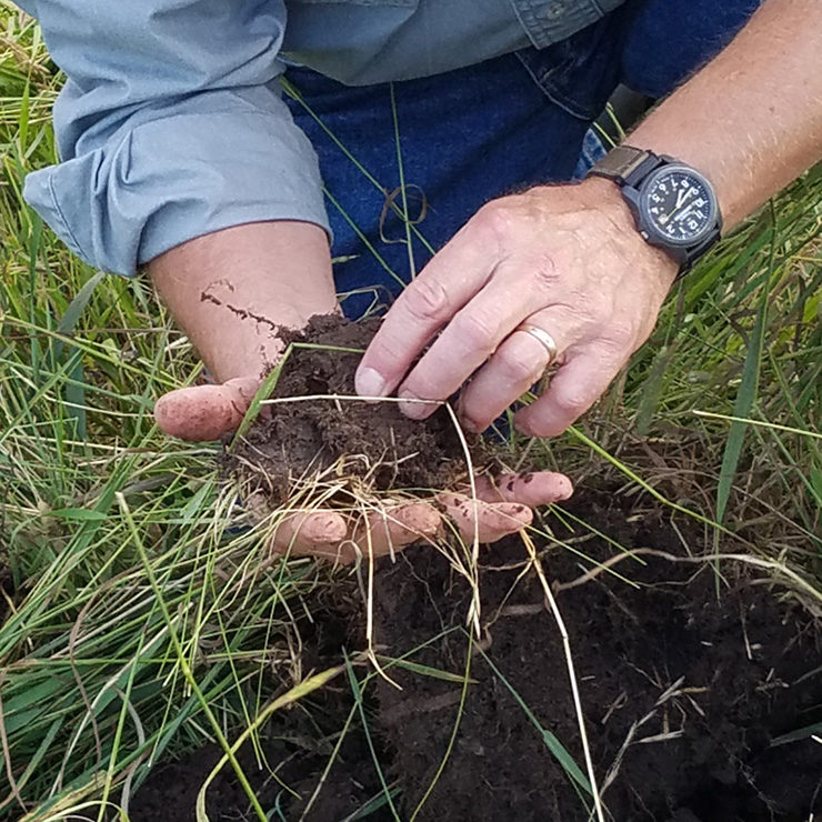 soil-health